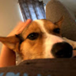 Meet your Posher, Kyleigh